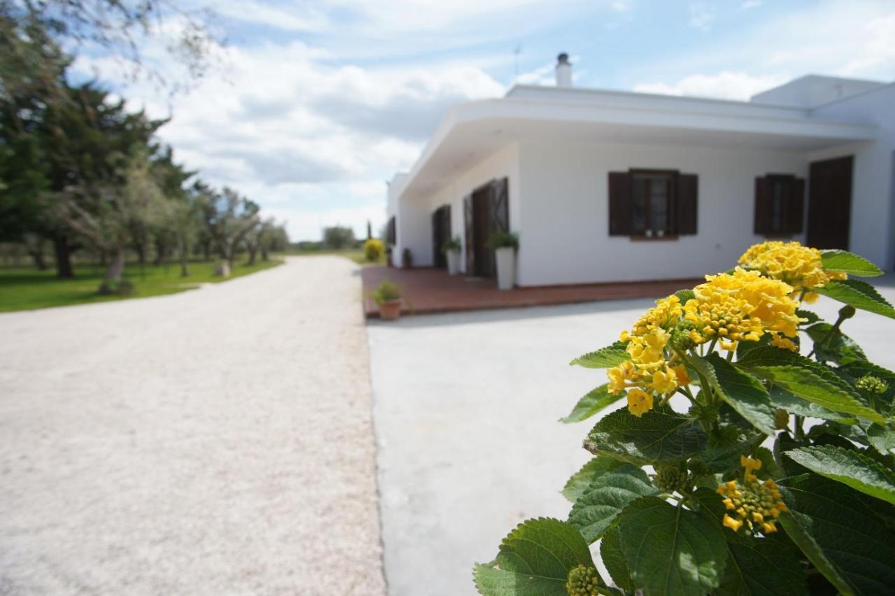 Gli Ulivi Di Gino Bed and Breakfast Sanarica Exteriör bild
