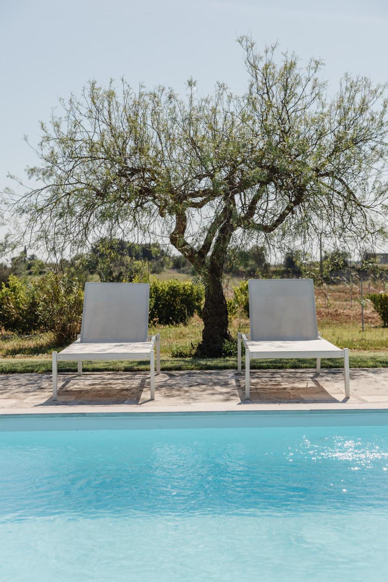 Gli Ulivi Di Gino Bed and Breakfast Sanarica Exteriör bild