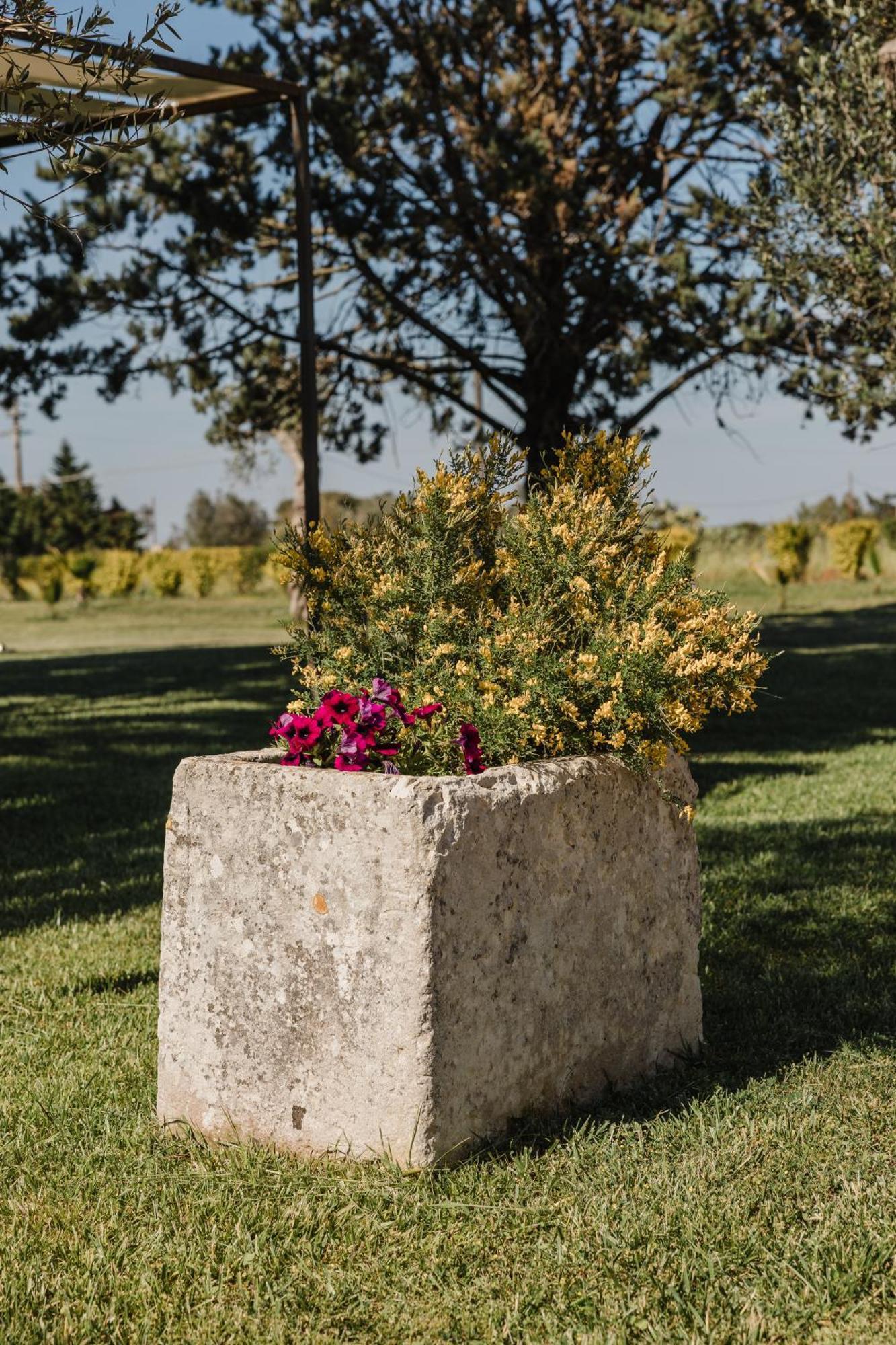 Gli Ulivi Di Gino Bed and Breakfast Sanarica Exteriör bild